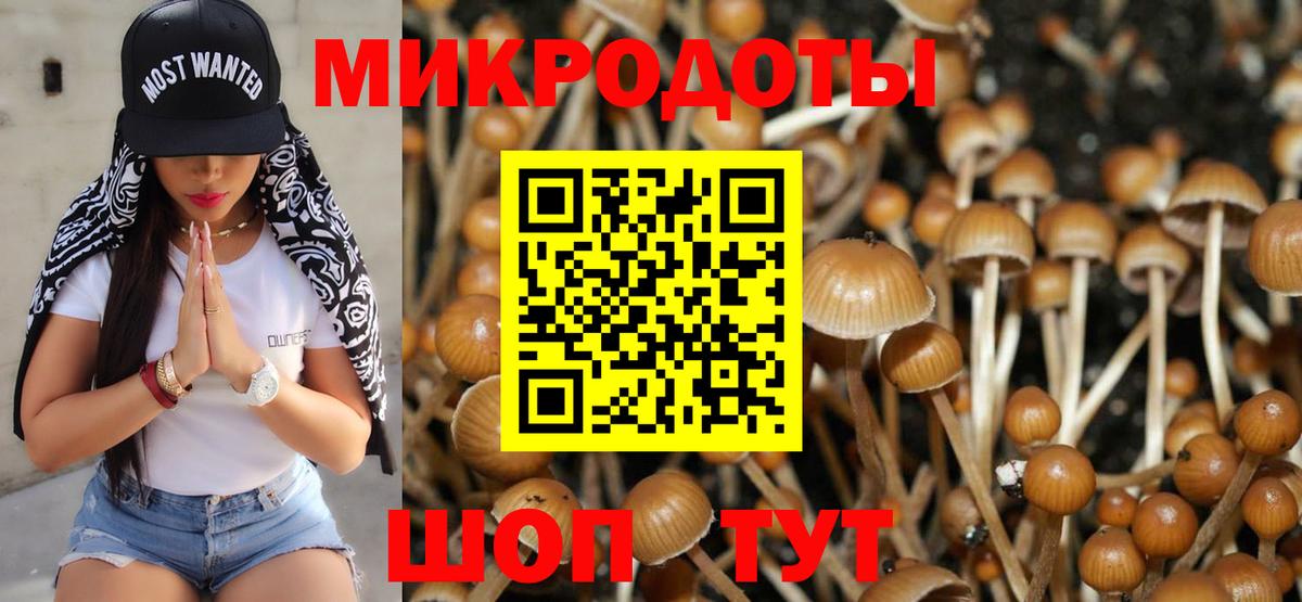 Зеленодольск  Галлюциногенные грибы ЛСД  Псилоцибиновые грибы Magic Shrooms  Вход с VPN 